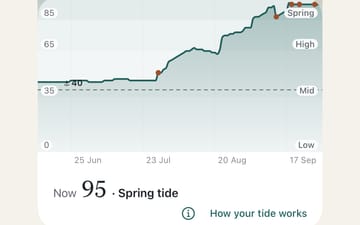 A tide chart rising over three months, with the anchor line beneath it and today’s tide: 95, a spring tide.